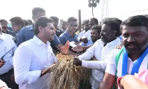 Tirupati: YS Jagan Mohan Reddy announces 80% seed subsidy