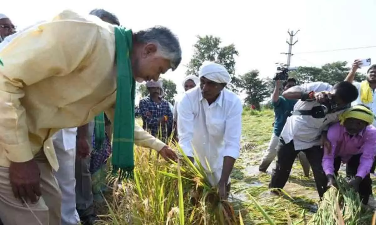 Naidu urges PM to declare revent cyclone as National Disaster