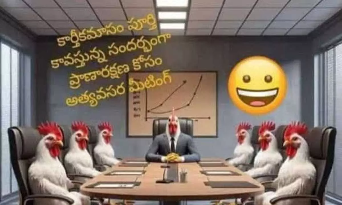 A meme where chickens hold an emergency board meeting