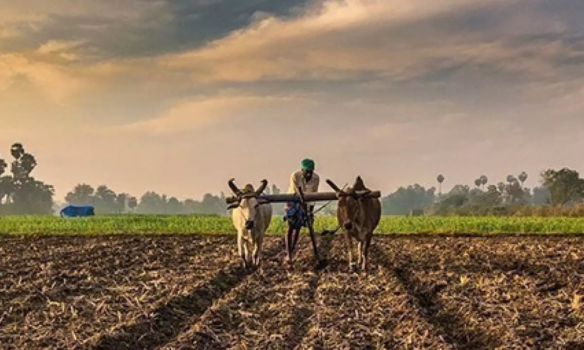 Govt doubles FCIs authorised capital to Rs 21,000 cr in big boost to farm sector