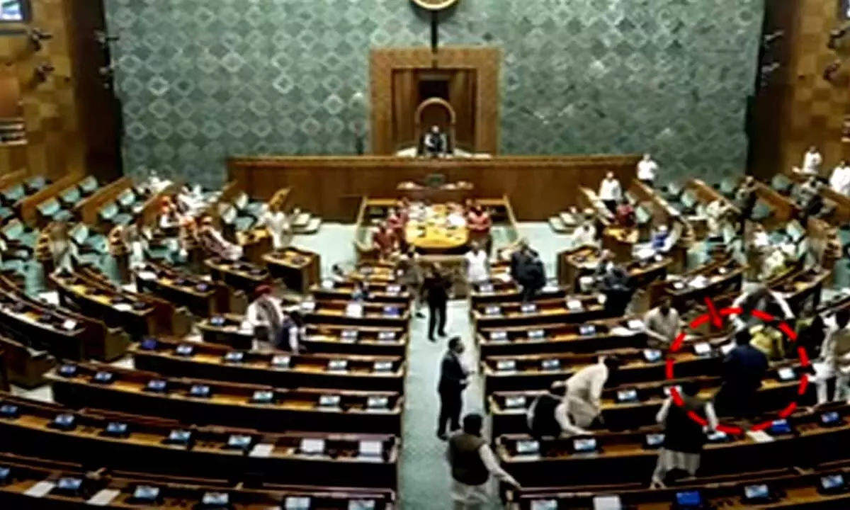 Two men jump from visitors gallery in Lok Sabha, lit smoke sticks, say MPs