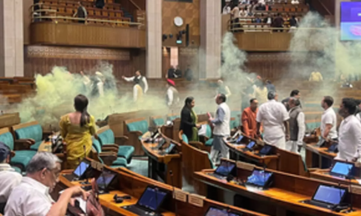 Two protesters carrying colour smoke flare detained outside Parliament