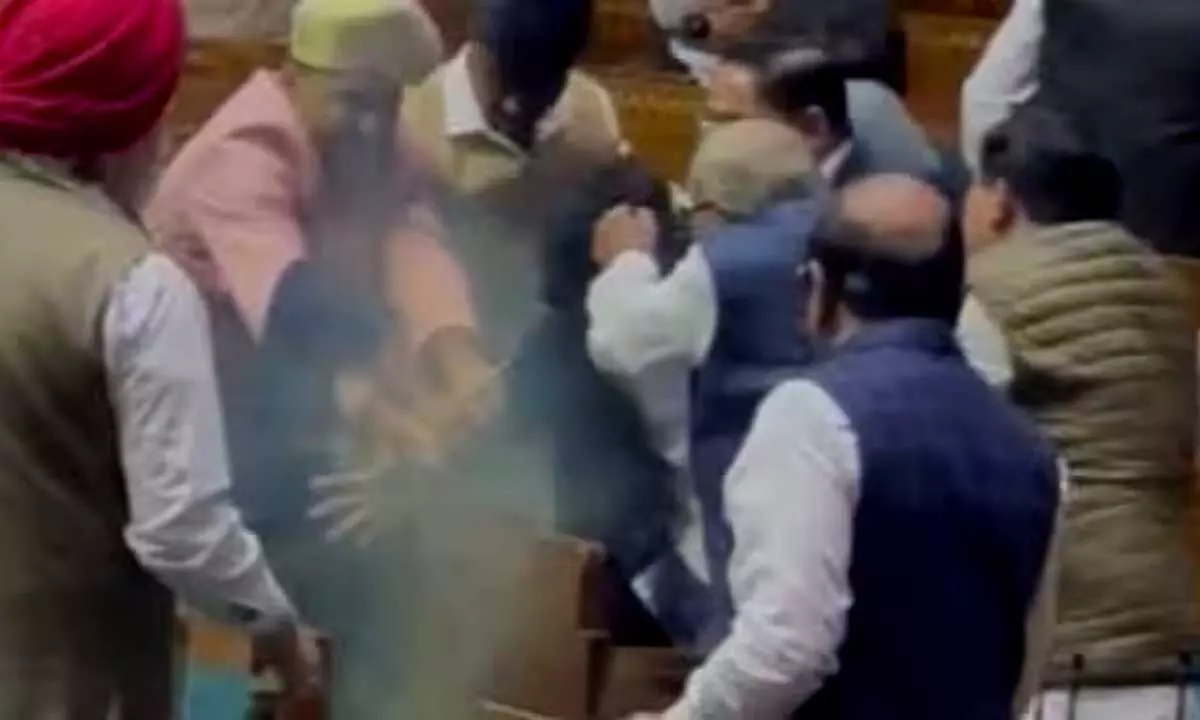 Rashtriya Loktantrik Party MP Hanuman Beniwal Takes On Lok Sabha Intruder
