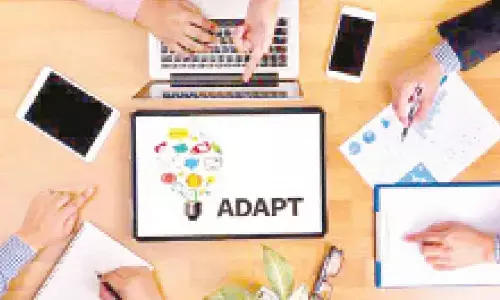 Enhance your adaptability skill