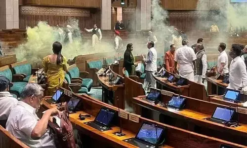 Parliament Security Breach: Unraveling Te Intricacies Of The Plot And Its Aftermath