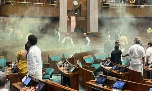 A Pre-meditated Plan Unveiled