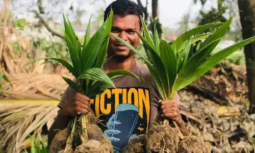 Overcoming Odds: Restoration of groundwater revives ryot lives