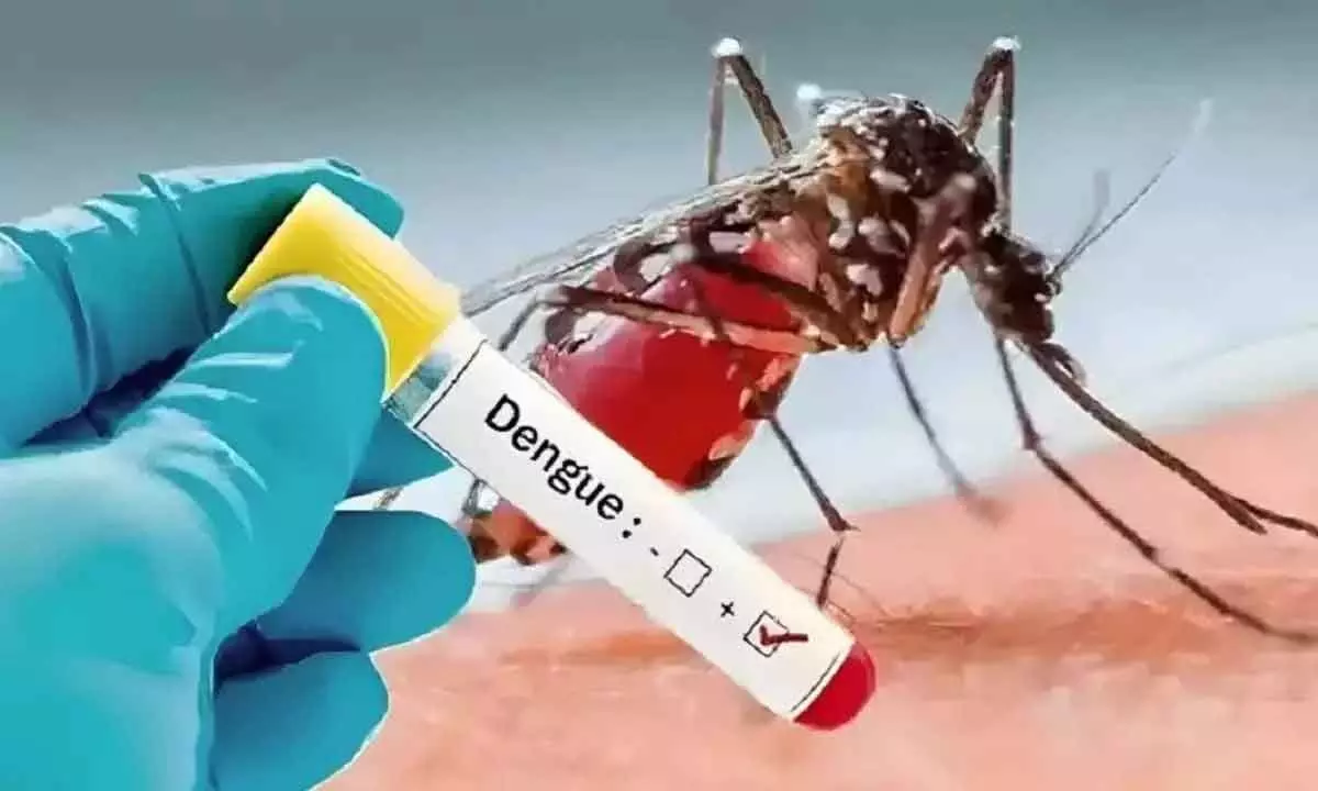 Spike in dengue cases in Khammam