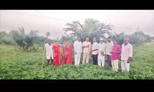 Former Agri Minister roots for oil palm farming