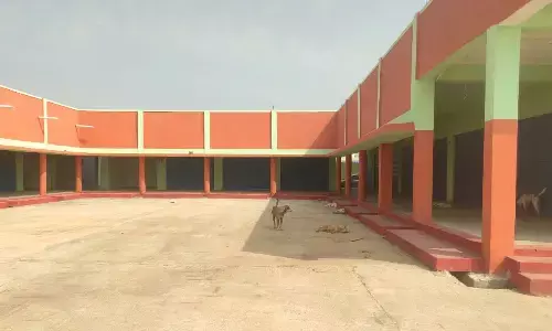 2 crore worth integrated market became shelter for Stray dogs