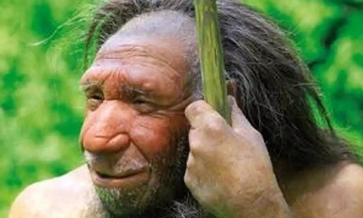 Neanderthal DNA link to early morning rise?