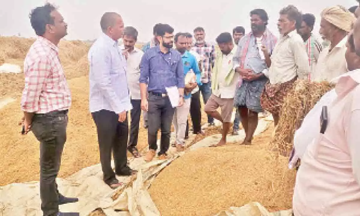 Eluru: Central team collects damaged crop samples