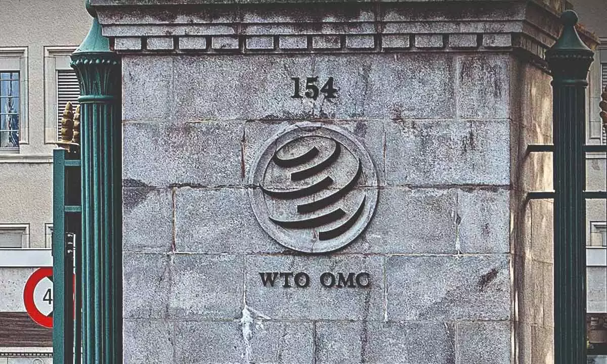 India challenges WTO Panel ruling