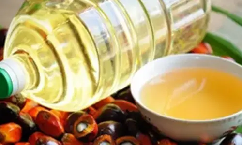 Focus on oil palm cultivation to reduce dependence on imports worth Rs 40K crore