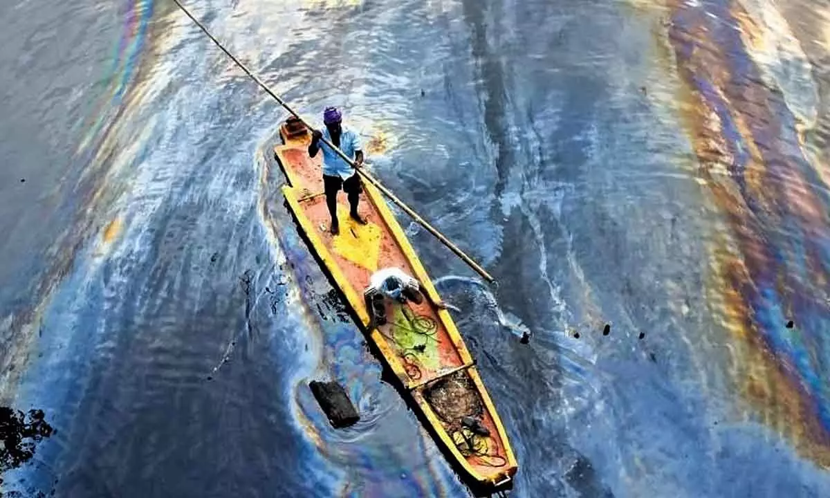 Oil trapped inside Chennais creek area: Coast Guard