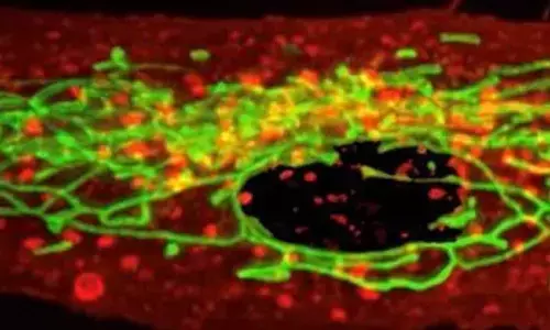 Study finds blood biomarkers linked to suicidal thoughts