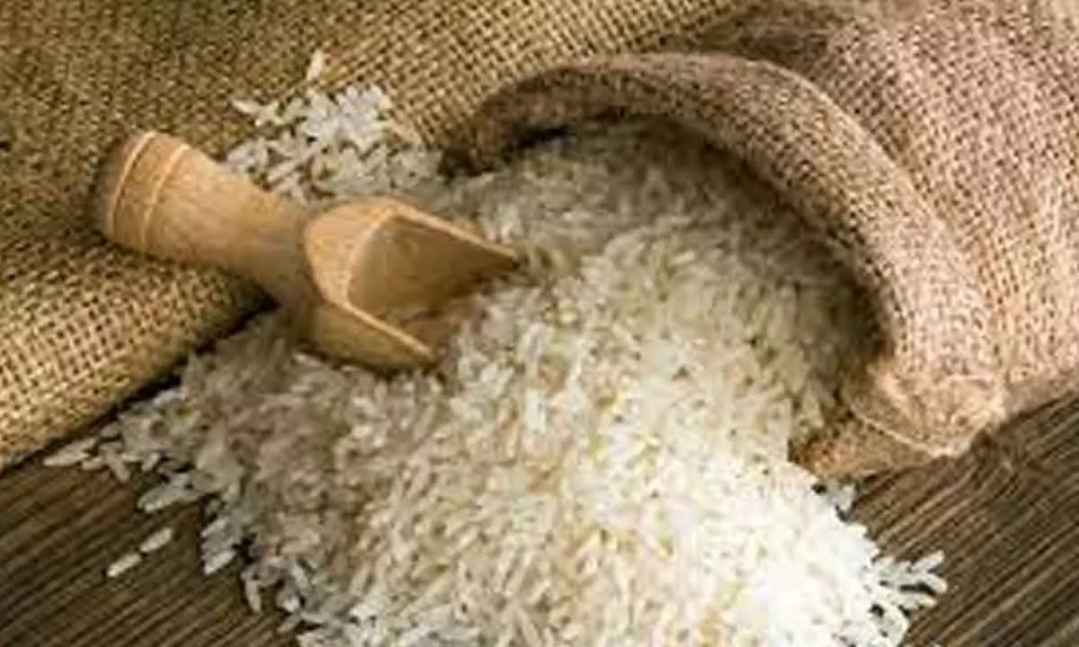 Vijayawada: PDS rice distribution today