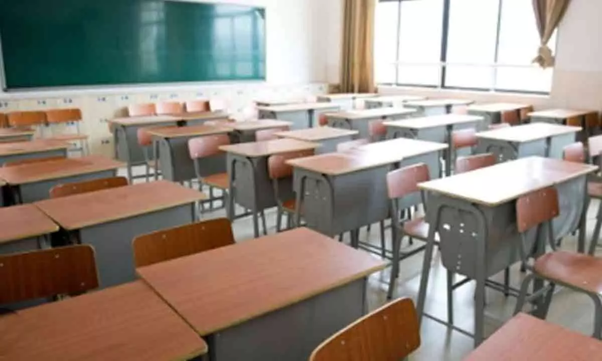 NZ govt sets basic standards for school teaching