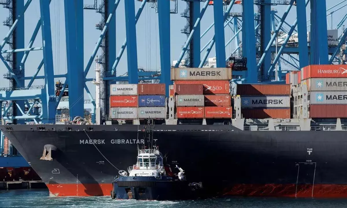 Shippers mask positions, weigh options amid Red Sea attacks