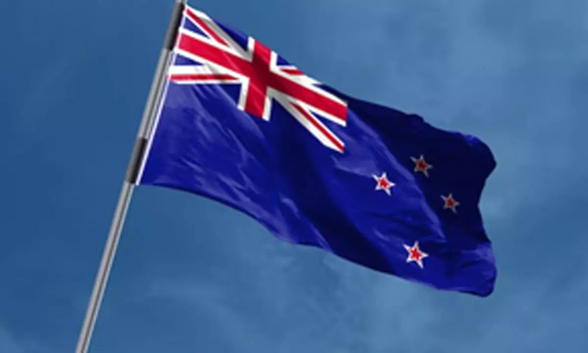 New Zealand govt starts to repair economy