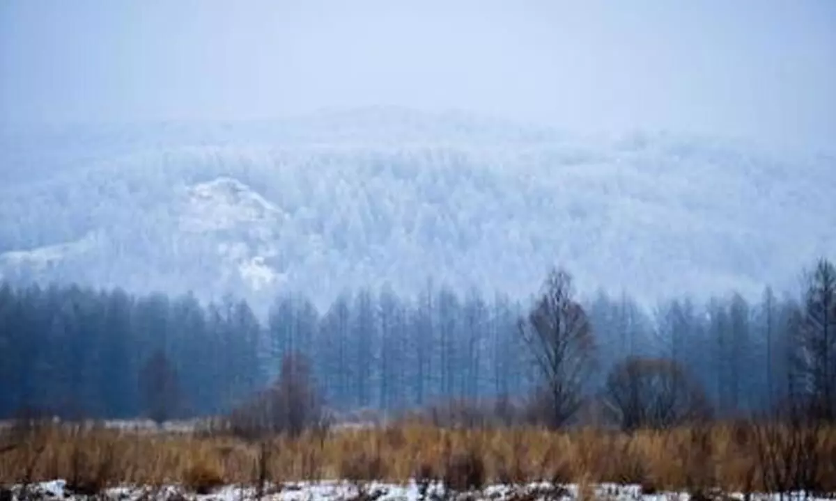 Overnight temperature plunges to minus 50 degrees in Mongolia