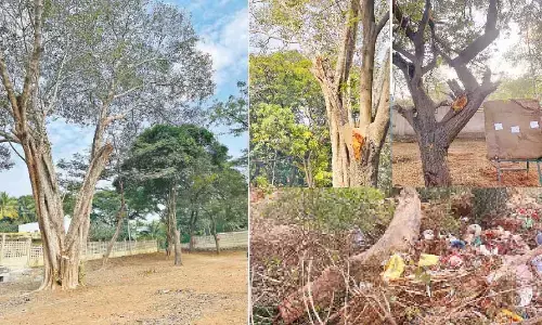 Lung spaces shrink in Sainikpuri