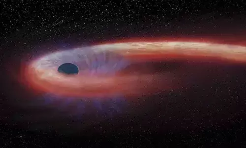 Why some black holes bigger than others? And how these celestial vacuums grow