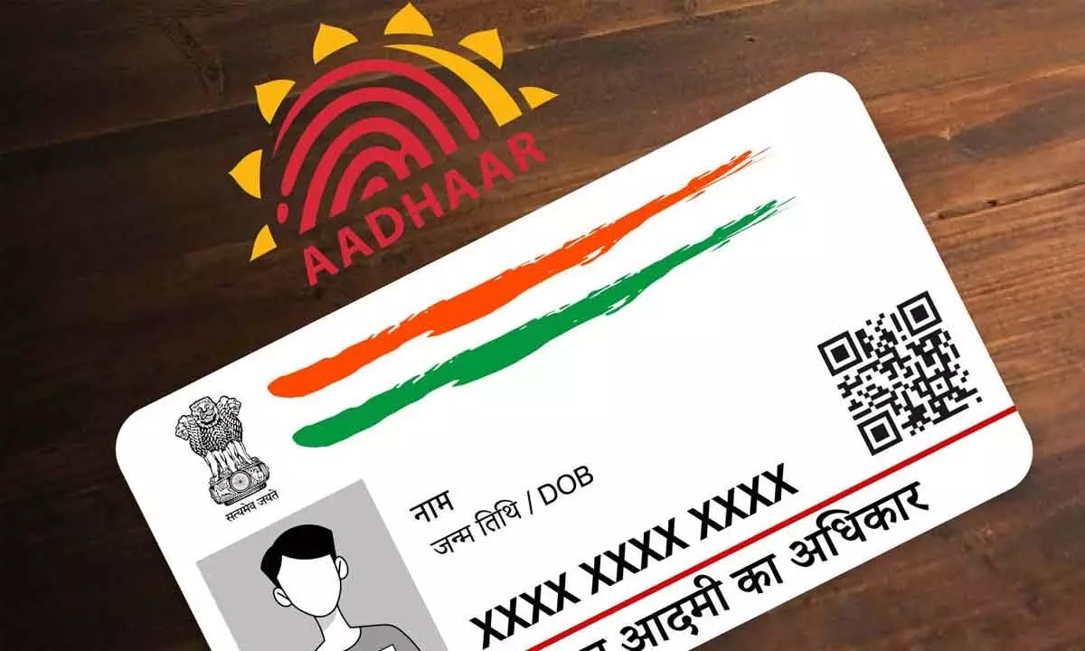 Physical verification for new Aadhaar Card appliers