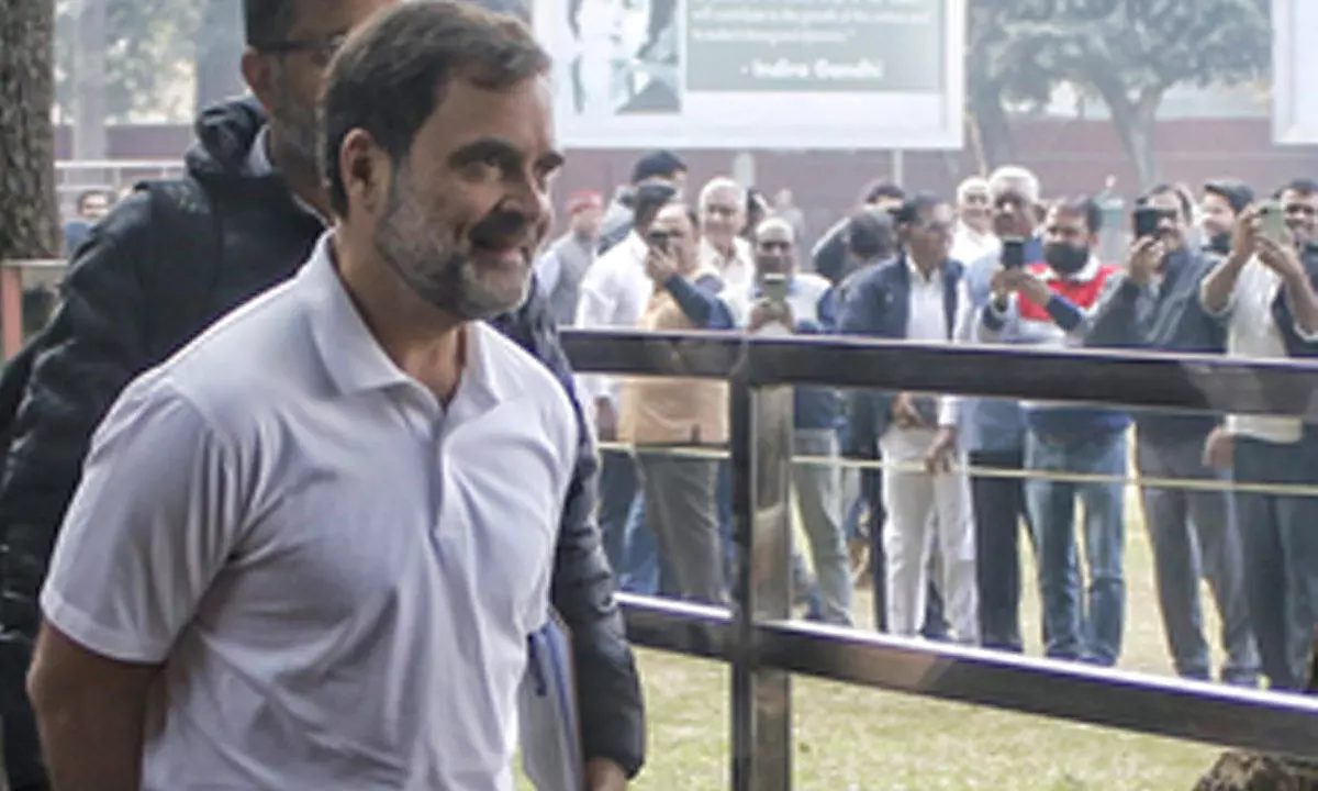 Delhi HC urges swift decision from EC on Rahul Gandhis pickpocket jibe at PM