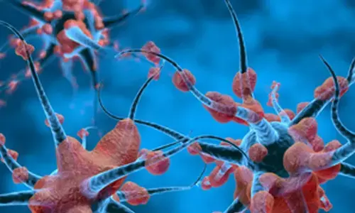 Indian scientists develop AI tool for nerve disorders in hand, forearm