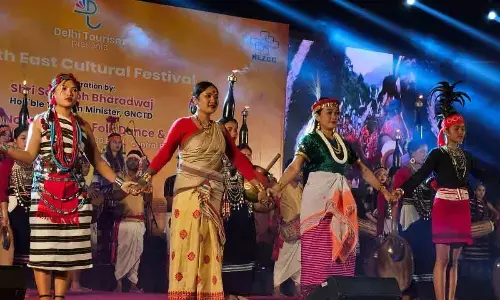 Delhis Cultural Extravaganza: Diverse Performances Unveiled In Week-Long Festival