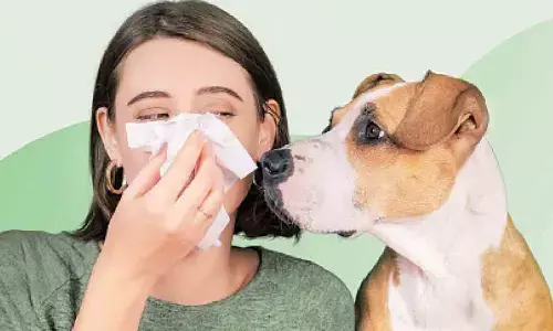 Protect your pets from winter allergies