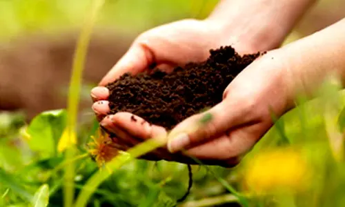 Sustainable agriculture a key element in climate crisis mitigation