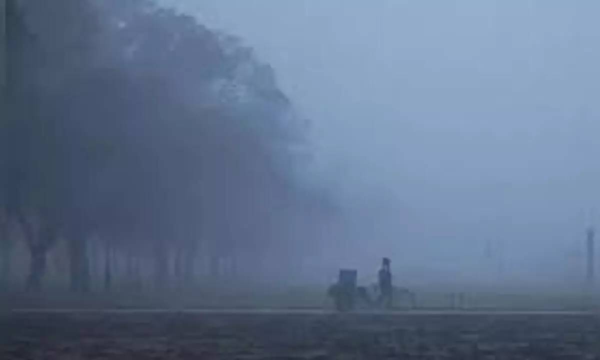 Dense to very dense fog over Northwest, parts of adjoining Central India: IMD