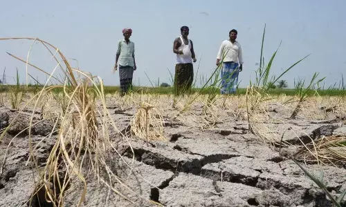 A decline in food production seems certain in Karnataka