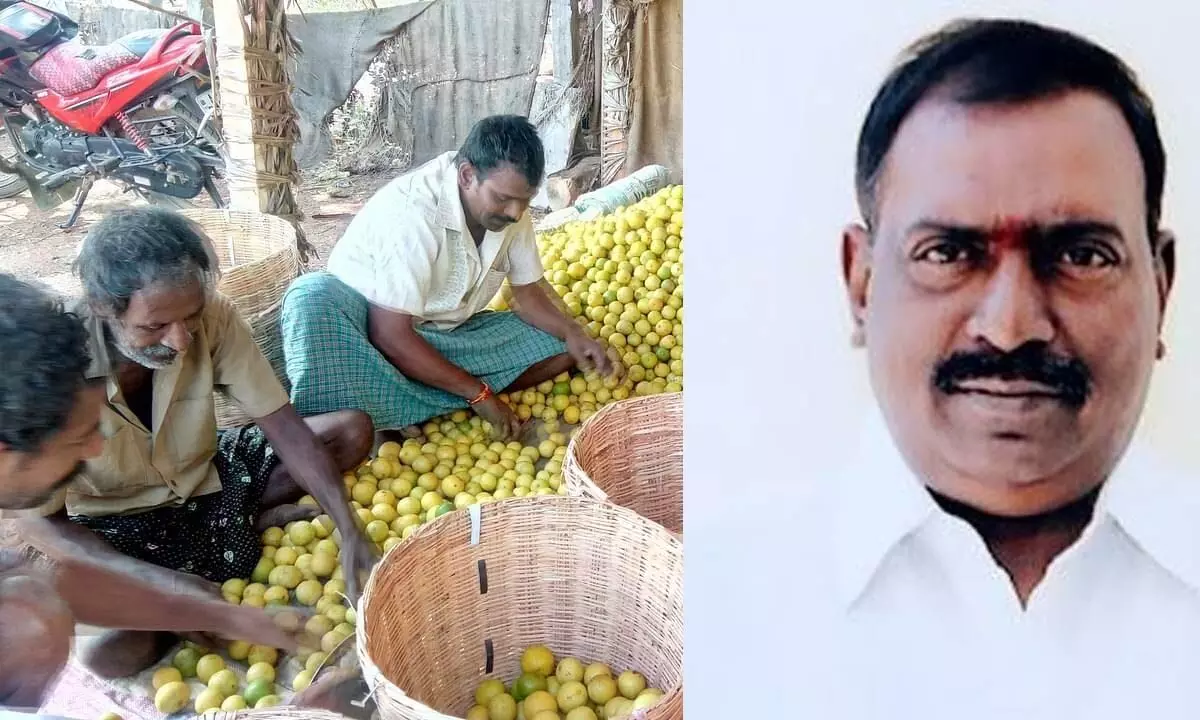 Guduru lemon market yard in Guduru town and Balli Durga Prasad
