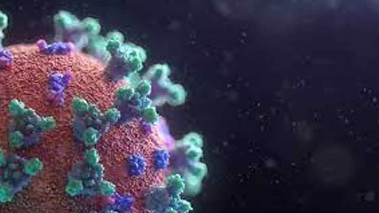 IISc researchers find Covid protein that blocks immunity