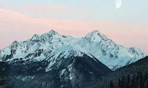 Warming Arctic waters are emitting carbon