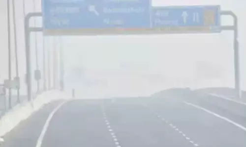 Dense Fog Triggers Massive Pile-Up on Yamuna Expressway Near Greater Noida; Flight And Train Services Disrupted