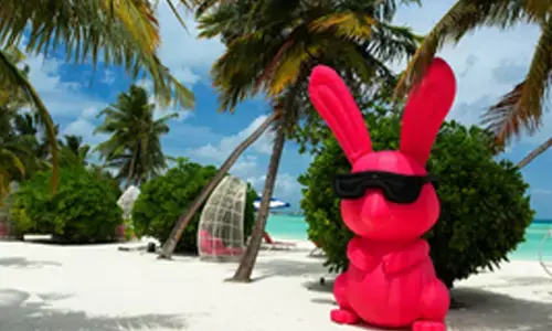 Plan your last-minute holiday