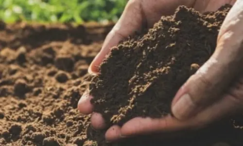 AI can help predict influence of microplastics on soil properties AI can help predict influence of microplastics on soil properties