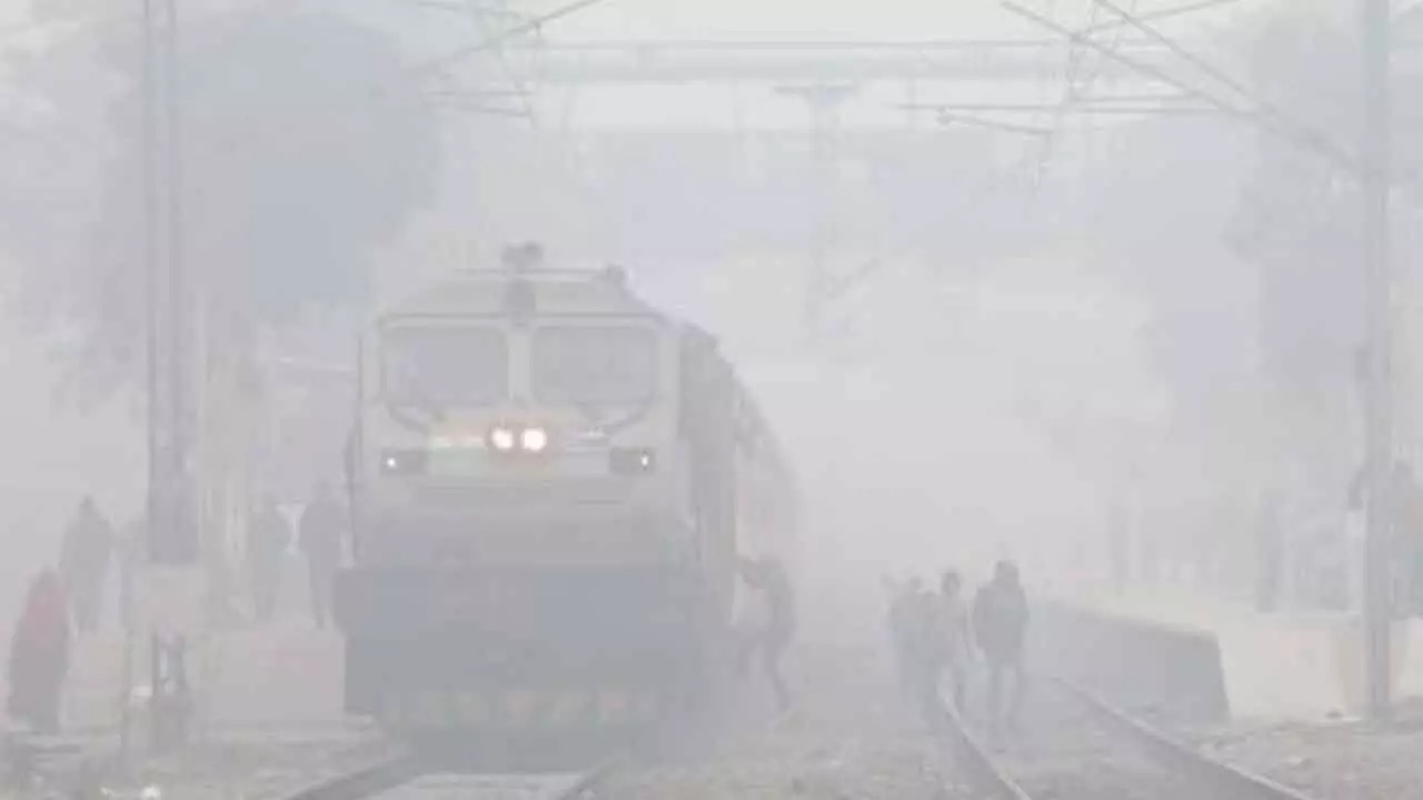 Widespread Disruption: Dense Fog Grips Northern India, Affecting Flights, Trains, And Roads