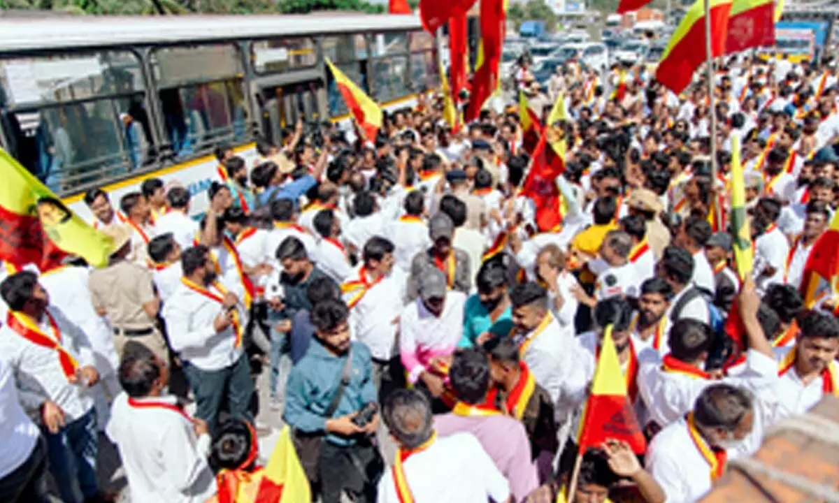 Bluru: 53 held for vandalism during protests seeking prominence for Kannada