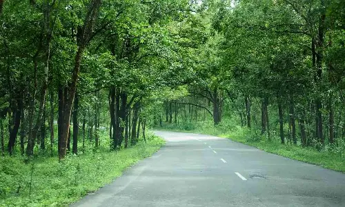 Parvathipuram: Forest panel gives nod for 6 roads