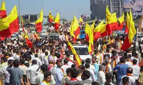 Pro-Kannada Activists Launch Citywide Protest In Bengaluru Over Language Compliance