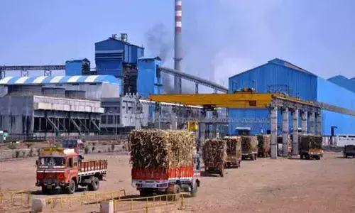 Vijayawada: BC, Kamma, Kapu voters hold sway in Penamalur