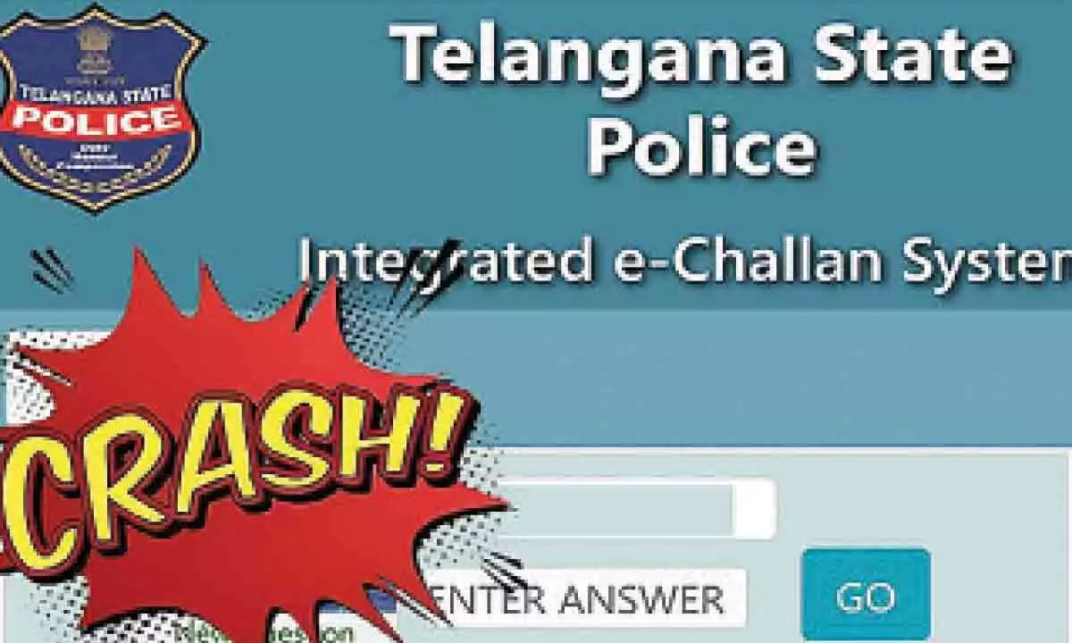 Traffic challan website crashes, over `8.44 crore collected till now
