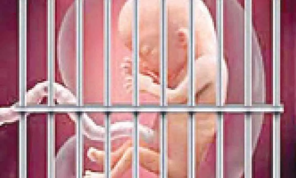 New Delhi: Convict’s right includes procreation says High Court