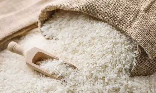 Food for thought: Retain or lift food export curbs