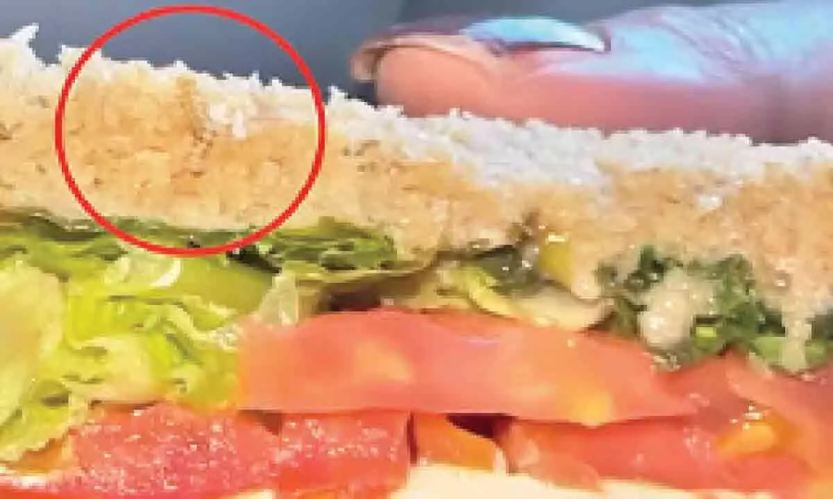 Passenger discovers live worm in sandwich on IndiGo flight